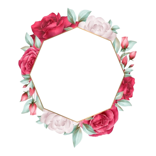frame 6